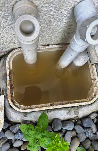 https://plumberheathridge.com.au/uploads/2025/06/blocked-drains-912576.jpg